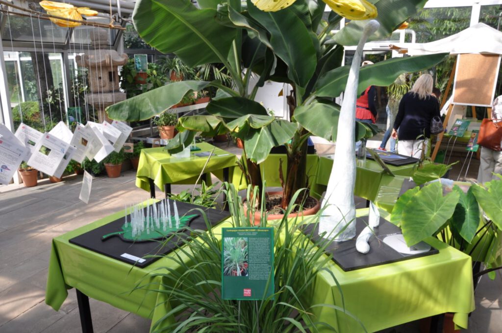 Au erschulische Lernorte Im Berufsfeldpraktikum Ein Konzept Mit Hohem 