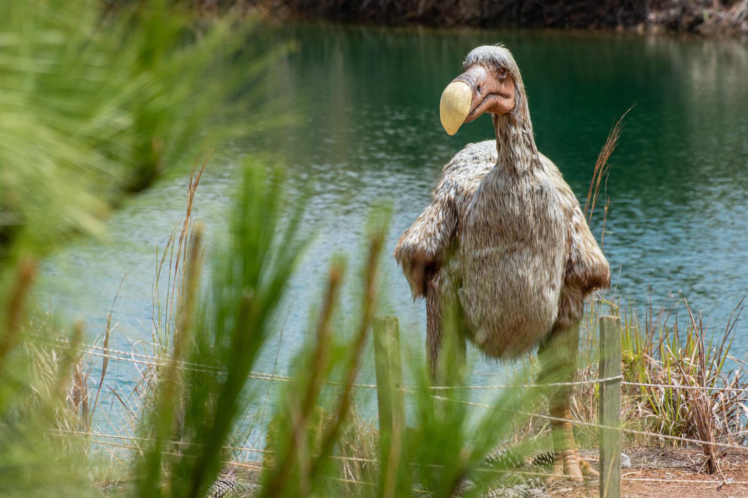 Tot Wie Ein Dodo Arten Sterben Heute Morgen Eine Faszinierende tot-wie-ein-dodo-arten-sterben-heute-morgen-eine-faszinierende